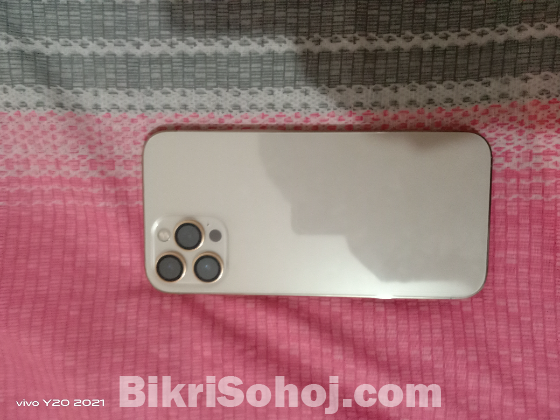 iPhone 12 pro max